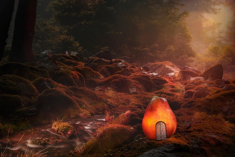 Whimsical Lighting